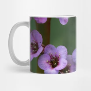 Purple flowers in bloom Mug